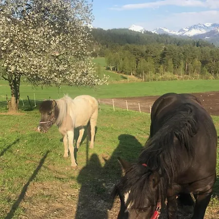 Gardsidyll I Flotte Omgivelser