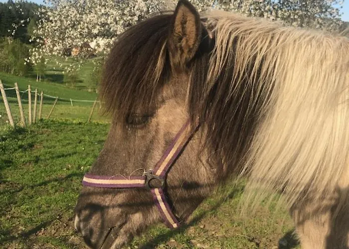 Gardsidyll I Flotte Omgivelser *