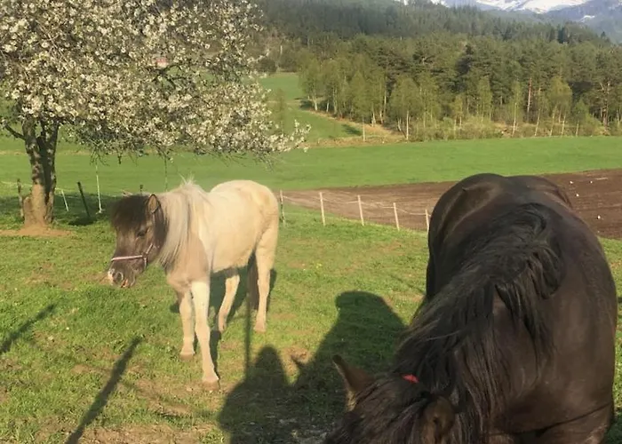 Gardsidyll I Flotte Omgivelser