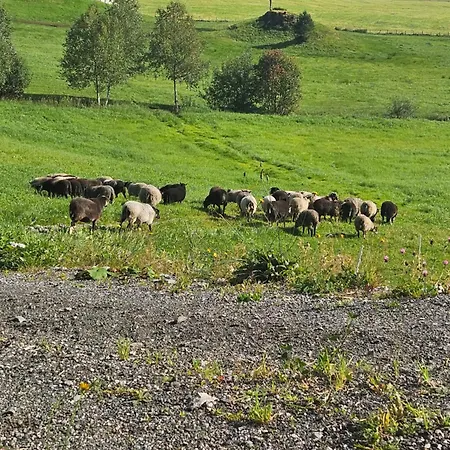 Apartament Gardsidyll I Flotte Omgivelser