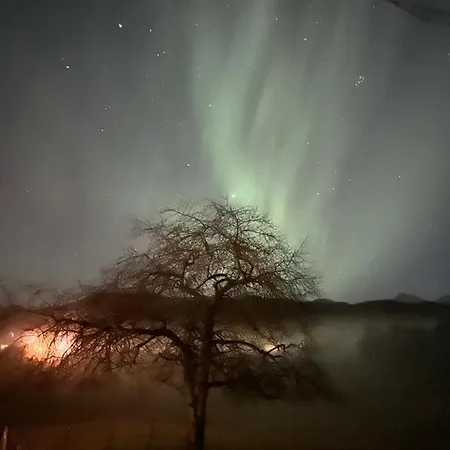 Gardsidyll I Flotte Omgivelser *