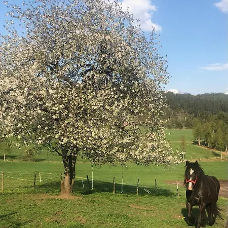 Gardsidyll I Flotte Omgivelser Apartament Ålesund